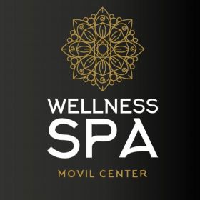 Wellness Spa Movil Center Ltda 