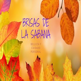 Imagen logotipo