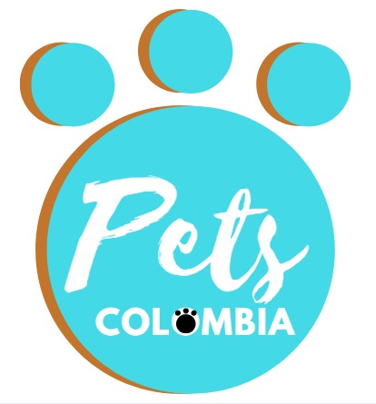 Imagen logotipo