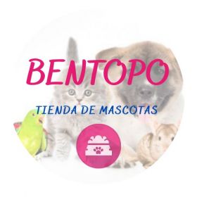Imagen logotipo