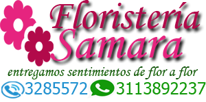 Imagen logotipo