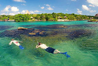 XEL-HÁ: Delfines + alimentos, ¡MEJOR PRECIO!