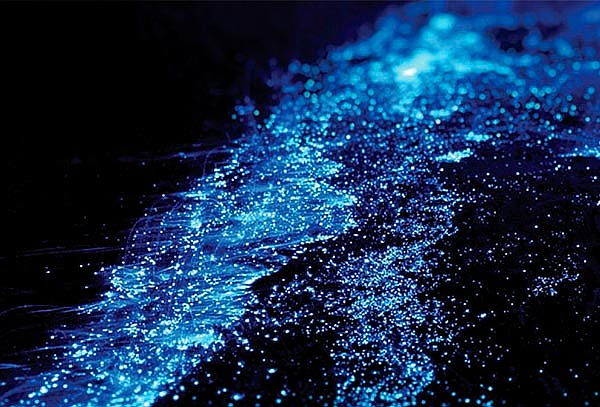 Bioluminiscentes 3D/2N Huatulco + Pto. Escondido