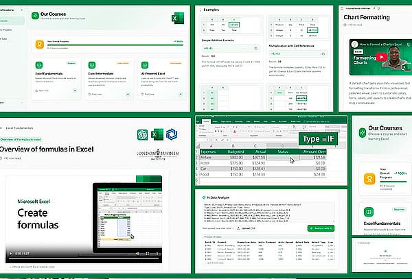 Curso de Excel 6, 12 o 18 Meses de acceso con certificación