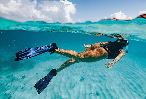 Vive la Magia del Avistamiento de Ballenas en Los Cabos