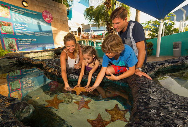 Acuario Interactivo de Cancún + nado con delfines, Asombrate