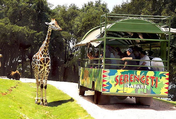 Boleto General a Bioparque el Safari más Grande de México