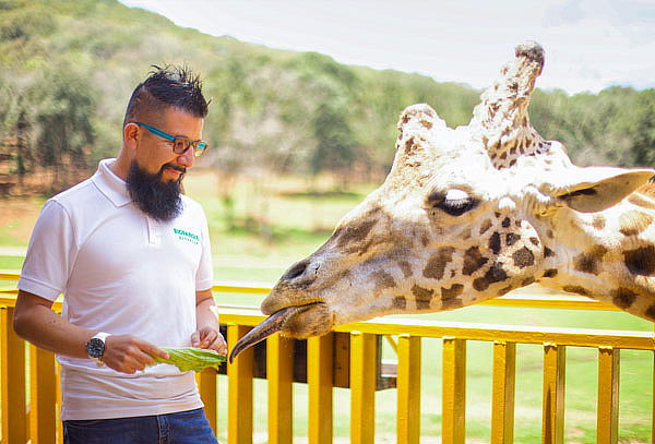 Boleto General a Bioparque el Safari más Grande de México