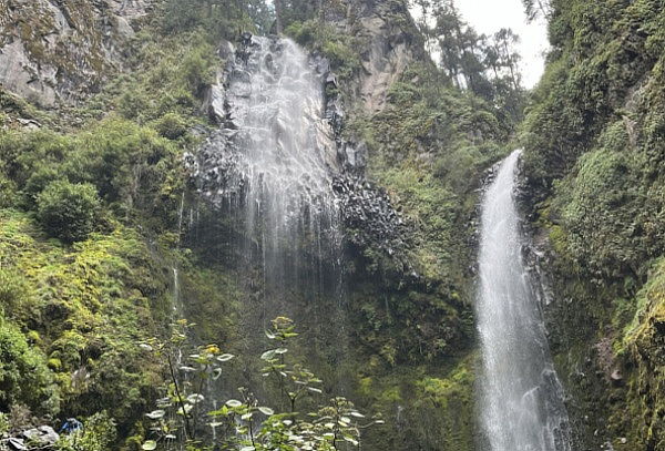Hiking a Cascadas Diamante + Traslados + Box Lunch