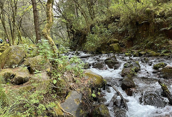Hiking a Cascadas Diamante + Traslados + Box Lunch