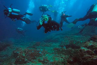 Curso Teórico y Práctico de Buceo para 1 o 2 Personas