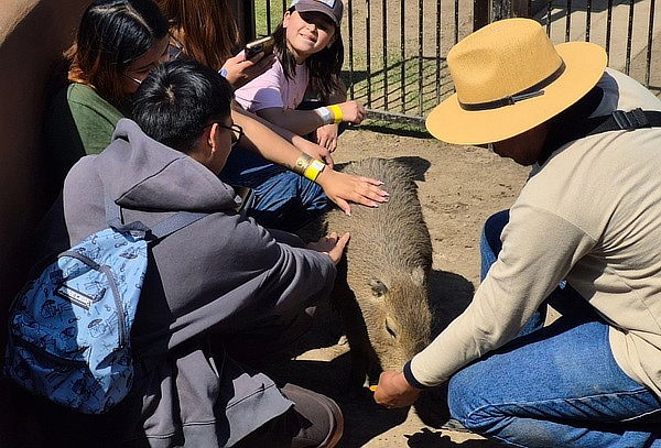 Paquete Oro en Hacienda Panoaya: Mas de 15 actividades