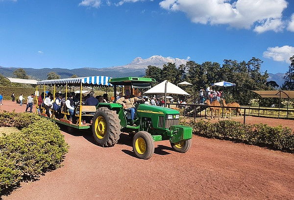 Paquete Oro en Hacienda Panoaya: Mas de 15 actividades
