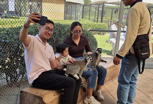Paquete Oro en Hacienda Panoaya: Mas de 15 actividades