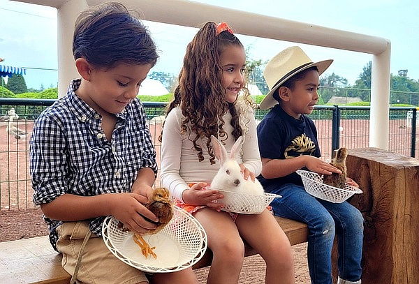 Paquete Oro en Hacienda Panoaya: Mas de 15 actividades