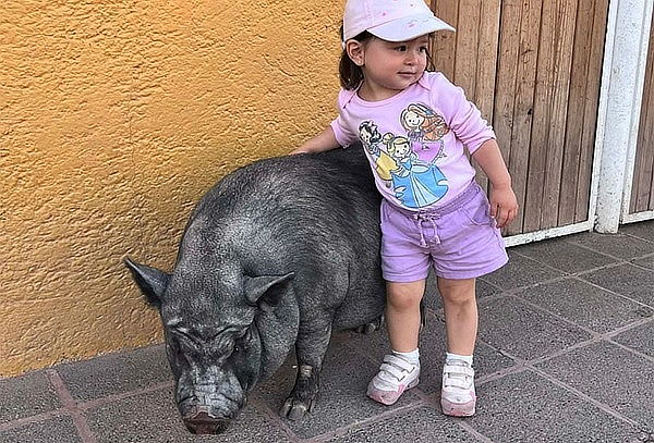 Paquete Turistico Hacienda Panoaya + Tirolesa + Lancha y Más