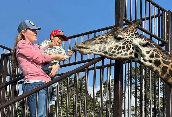 Paquete Oro en Hacienda Panoaya: Mas de 15 actividades