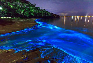 Huatulco 3D/2N + Laguna de luz y Pto Escondido ¡Jun 25!