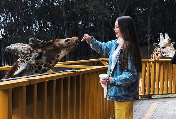 Boleto General a Bioparque el Safari más Grande de México