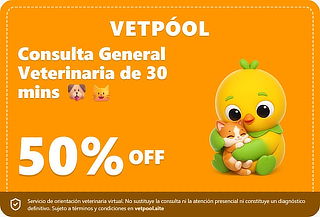 Consulta General Veterinaria Virtual de 30 Minutos