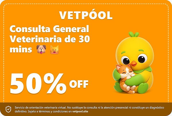 Consulta General Veterinaria Virtual de 30 Minutos