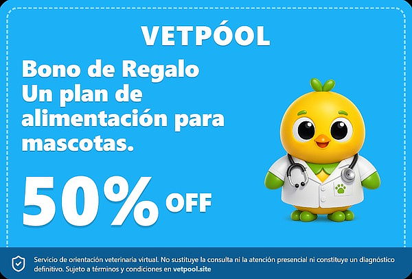 Bono de Regalo: Plan de Alimentación Personalizado para Masc