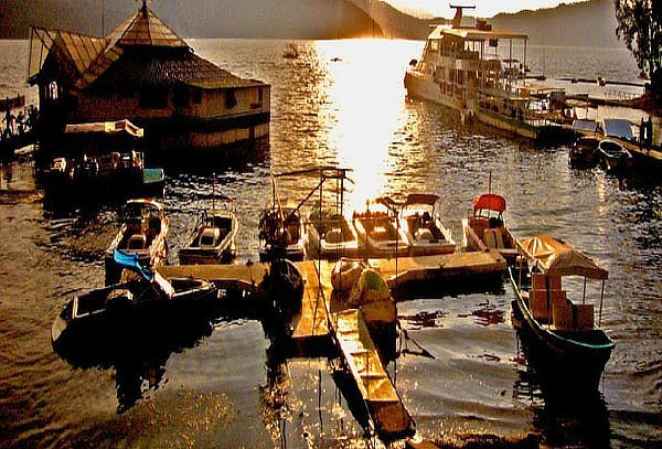 Conoce a la MARIPOSA MONARCA + Valle de Bravo ¡Diciembre 26!