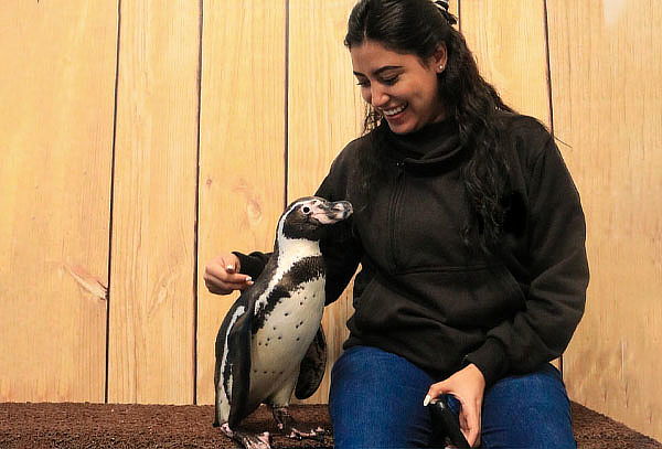 Acceso General a Acuario Michin ¡Maravillas del mar en CDMX!