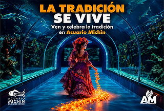 Acceso General a Acuario Michin ¡Maravillas del mar en CDMX!