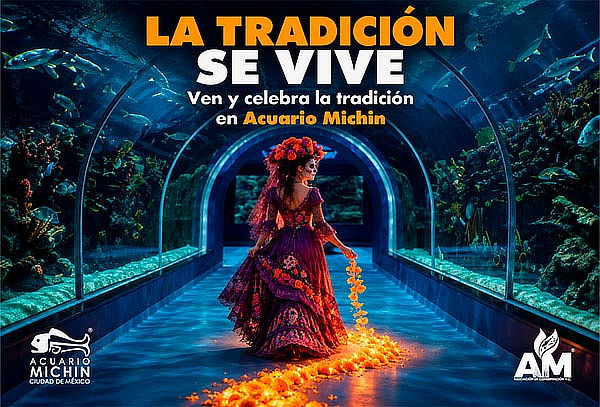 Acceso General a Acuario Michin ¡Maravillas del mar en CDMX!