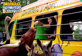 Acceso a Mundo Granjero y Zoo ¡Diversión garantizada!