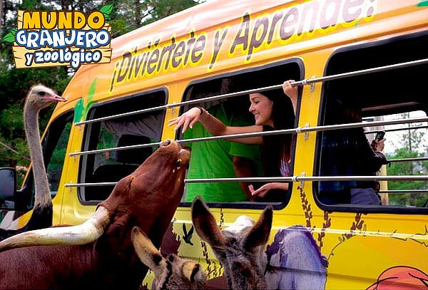 Acceso a Mundo Granjero y Zoo ¡Diversión garantizada!