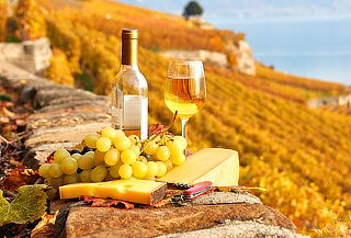 Festa PATRIA: RUTA VINO Y QUESO + Pueblo Mágico de Bernal
