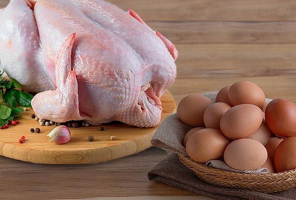 Huevo y Pollo Fresco calidad Alto bajío ¡Envío a Domicilio!