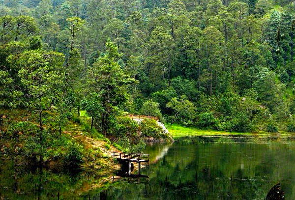 PET FRIENDLY: Lagunas de ZEMPOALA Pueblo Mágico en AGO 29