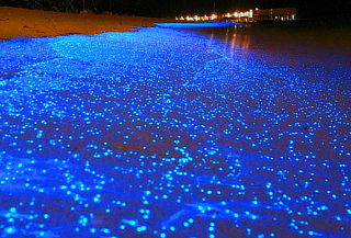 BIOLUMINISCENTES 3D/2N + Huatulco +Puerto Escondido