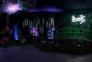 Acceso para 5 personas Monet Experience y Los Impresionistas