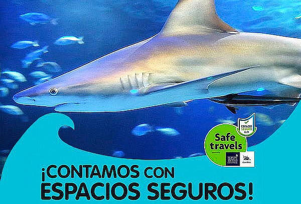 HOY: Acuario + Acuario Interactivo + Fila Preferencial
