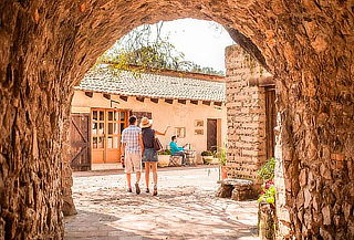 HOY: Val'quirico NAVIDEÑO Campos de Lavanda & más.