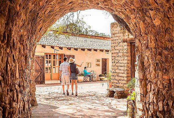 HOY: Val'quirico NAVIDEÑO Campos de Lavanda & más.