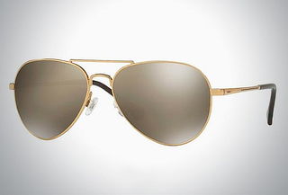 Lentes de sol Kipling Aviador KP2017 F338