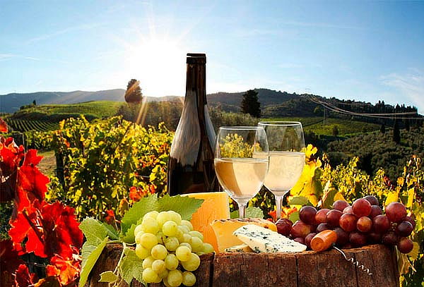 Ruta del QUESO Y VINO 2D/1N en Tequisquiapan, MAR 13
