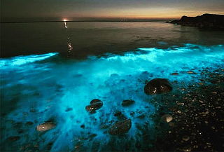 BIOLUMINISCENTES: Huatulco + Pto. Escondido, Zicatela  MAR26