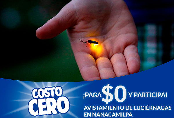 Participa sorteo costo $0 viaje doble para ver Luciérnagas