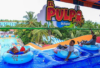 Encuentro con Delfines en Puerto Vallarta