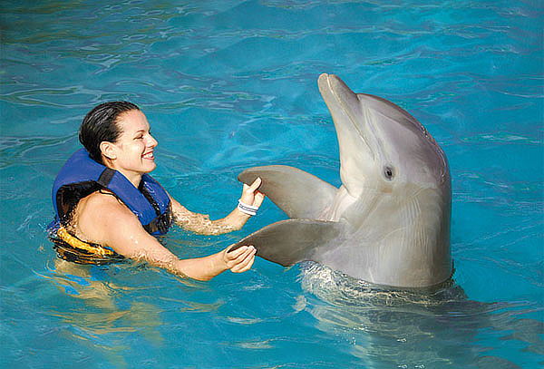 Dolphin Swim Adventure en Puerto Vallarta