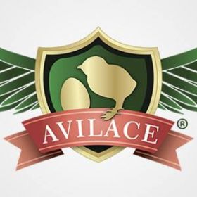 Imagen logotipo