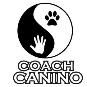 Imagen logotipo