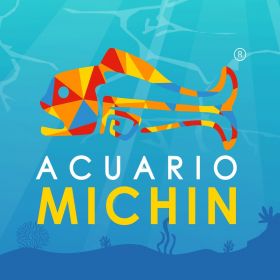 Acuario michin