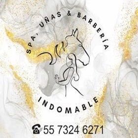 INDOMABLE STUDIO